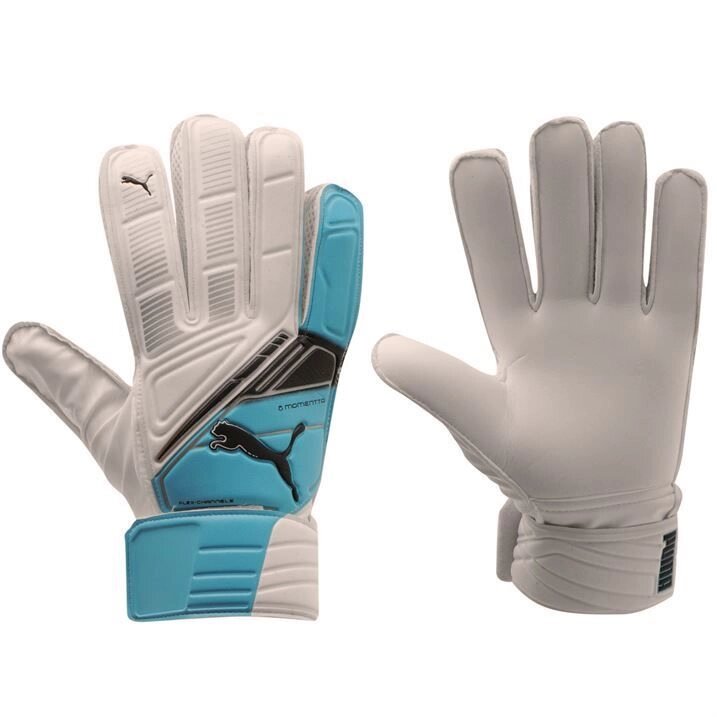 Воротарські рукавички Puma Momentta GK Gloves від компанії ФУТБОЛ + - фото 1