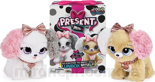 М'який інтерактивний щеня Spin master Present pets 6051197