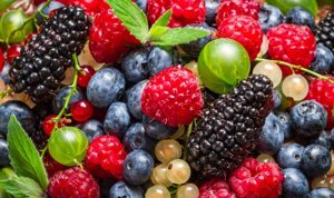 Наповнювач гелевий лісові ягоди в Київській області от компании Фрут Екс
