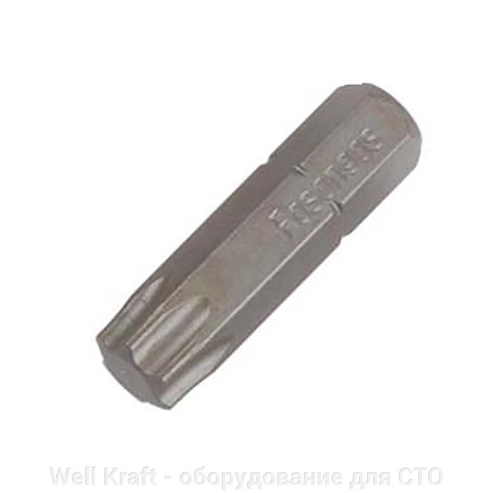 Біти зіркоподібні 1/4 "Torx T9-T50 Fasano FG 85 / 25T (FG 85 / 25T10) від компанії Well Kraft - обладнання для СТО - фото 1