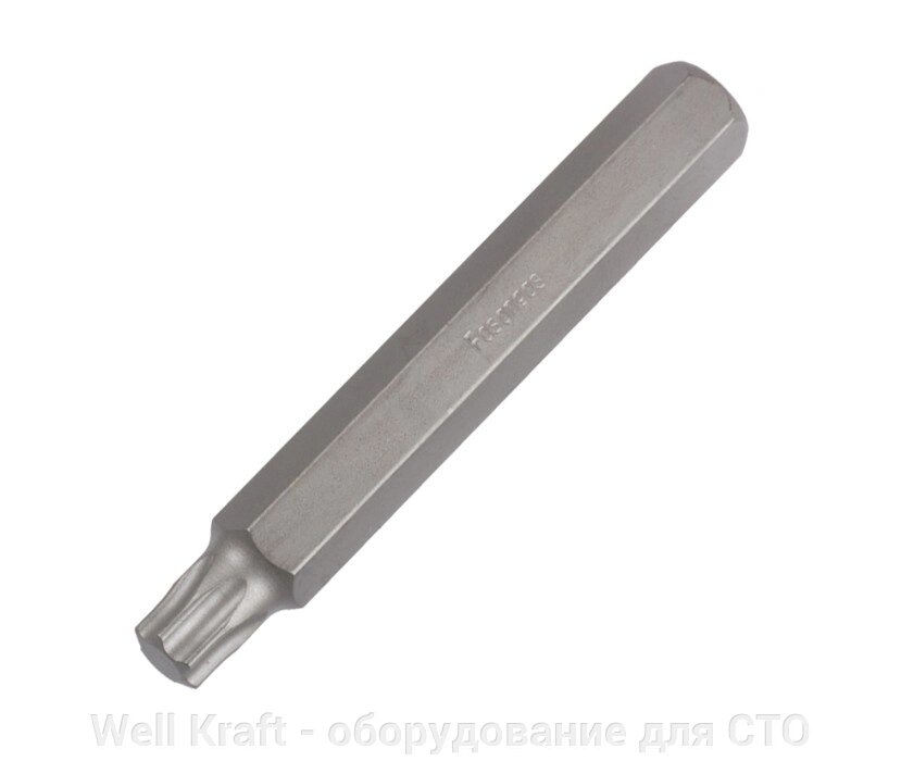 Біти зіркоподібні 10 мм Torx T20-T55 довгі Fasano FG 86 / 75T (20) від компанії Well Kraft - обладнання для СТО - фото 1