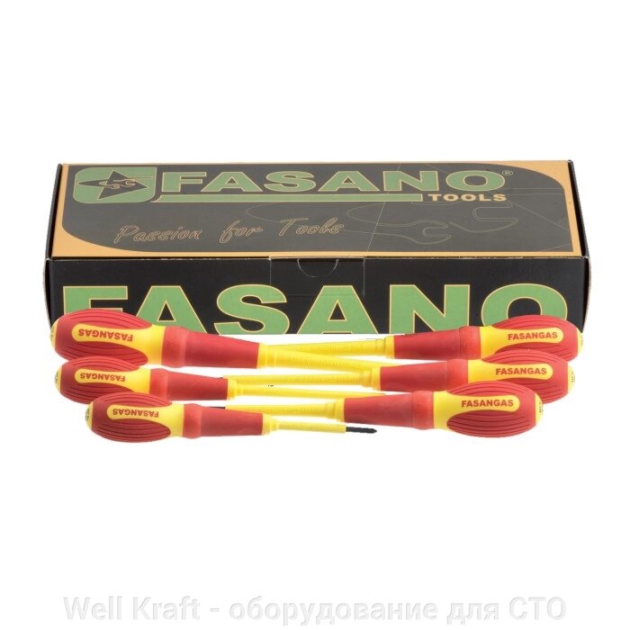 Отвертка диэлектрическая Fasano FG 22E/SL (SL2.5x75) від компанії Well Kraft - обладнання для СТО - фото 1