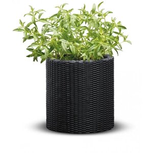 Горщик для квітів (кашпо) Keter (Кетер) Cylinder Planter M (17197835) Антрацит