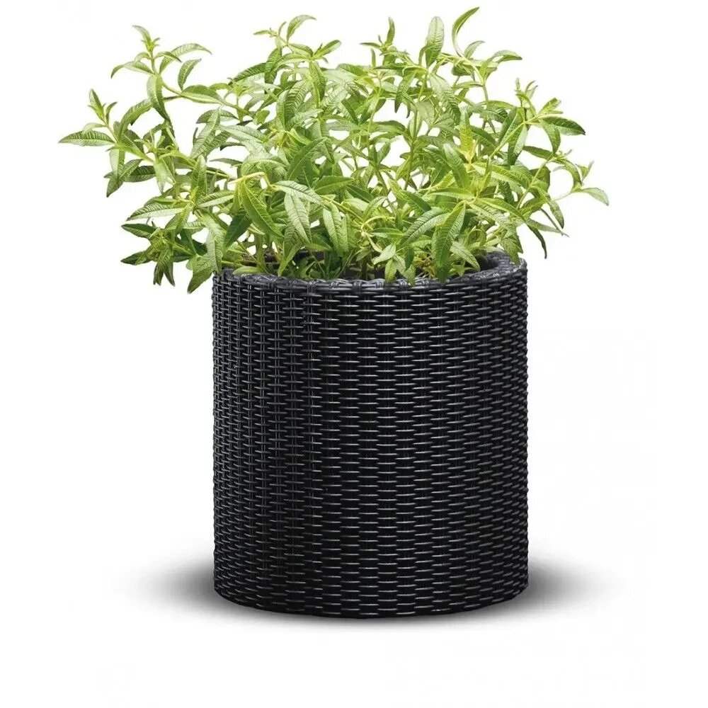 Горщик для квітів (кашпо) Keter (Кетер) Cylinder Planter S (17197833) Антрацит - відгуки