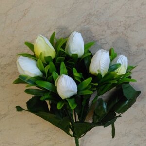 Букет тюльпанів 7 голів білий