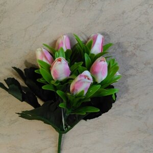 Букет тюльпанів 7 голів світло-рожевий