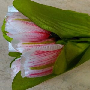 Букет тюльпанів 9 шт. біло-рожевий