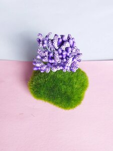 Додаток тичинка Квітка кукурузка+лак фіолетовий