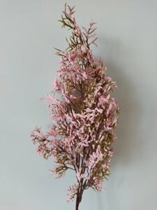 Гілка Кермек декоративний рожевий