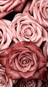 Віддушка для санитайзера , антисептика Rose /Троянда