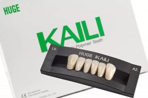 Дошка передньої частини нижніх зубів Kaili 6 PCS L10 A1