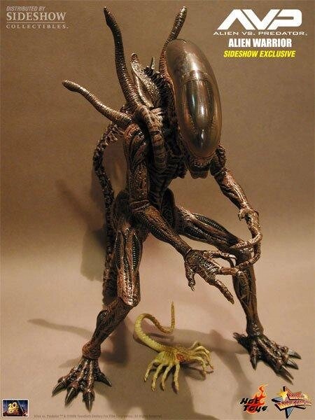 Alien-Hunter-AVP (Hot Toys) 1:6 від компанії TERRA-X - фото 1