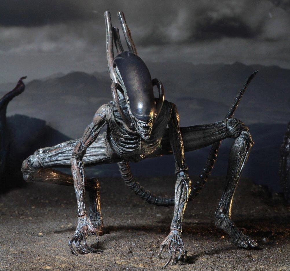 Чужий (Alien-Protomorph) від компанії TERRA-X - фото 1