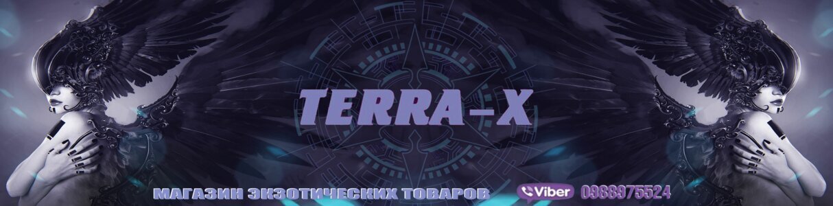 TERRA-X