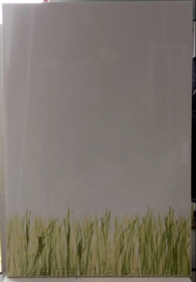 Декор Саванна 2 трава (верх) 27,5 * 40, АТЕМ від компанії Магазин "Керама" м.Кременчук - фото 1