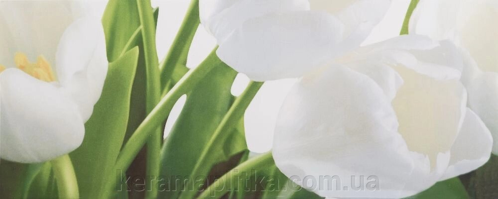 Плитка настінна АТЕМ Yalta Tulip 2 W низ 20х50 від компанії Магазин "Керама" м.Кременчук - фото 1