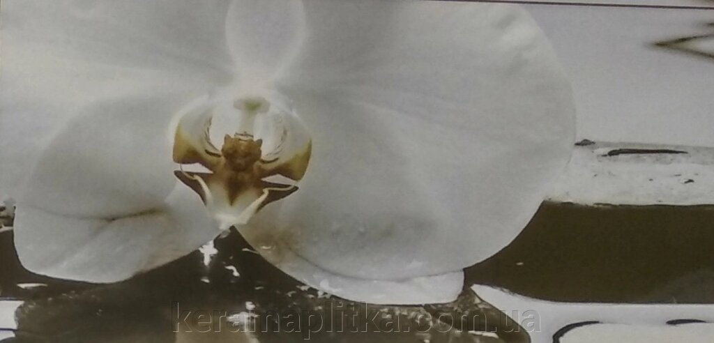 Плитка настінна День орхідея 2 панно 25 * 50, Березакераміка від компанії Магазин "Керама" м.Кременчук - фото 1