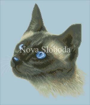 Малюнок на канві для вишивки нитками муліне ММ-2021 Сіамська кішка від компанії Інтернет-магазин «вишивав-ка» - фото 1