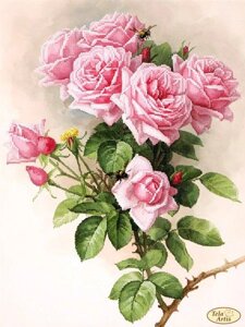 Схема для вишивки бісером Англійські троянди