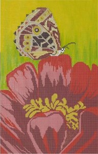Картина для вишивки бісером розмір А3 Метелик на червоному квітці КМР 3054