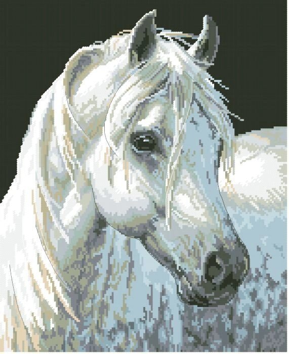 Рисунок на канве для вышивки нитками 10172 Лошадь від компанії Інтернет-магазин «вишивав-ка» - фото 1