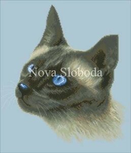 Малюнок на канві для вишивки нитками муліне ММ-2021 Сіамська кішка