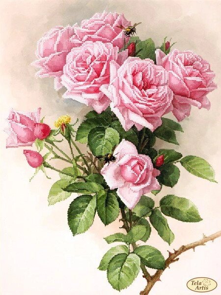 Схема для вишивки бісером Англійські троянди від компанії Інтернет-магазин «вишивав-ка» - фото 1