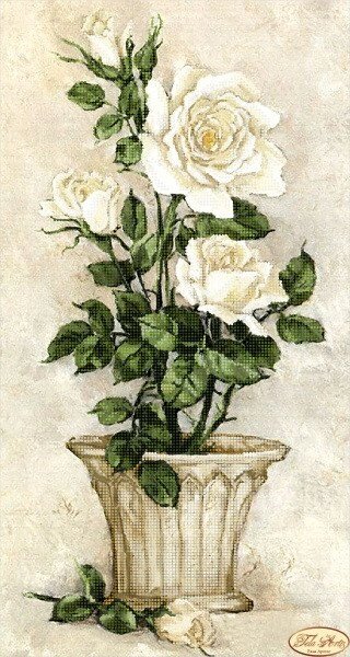 Схема для вышивки бисером Белые розы від компанії Інтернет-магазин «вишивав-ка» - фото 1
