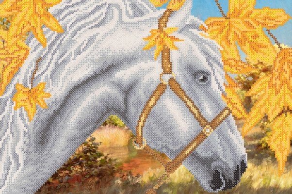 Тканина з малюнком для вишивання бісером Білий кінь від компанії Інтернет-магазин «вишивав-ка» - фото 1