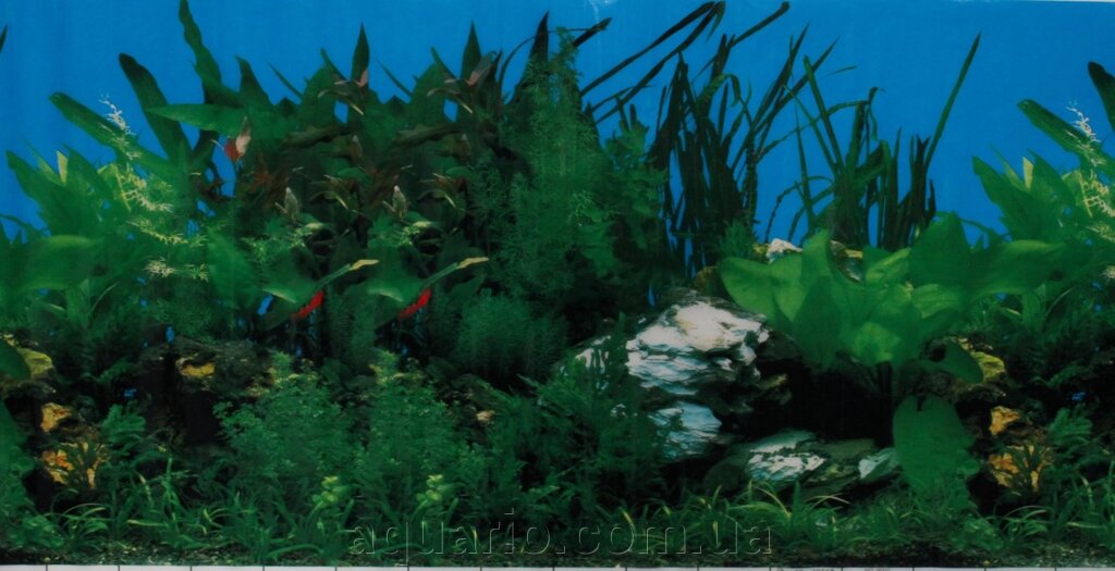 Фон для акваріума 9003, висота 40 см від компанії Інтернет магазин акваріумістики "AquariO" - фото 1