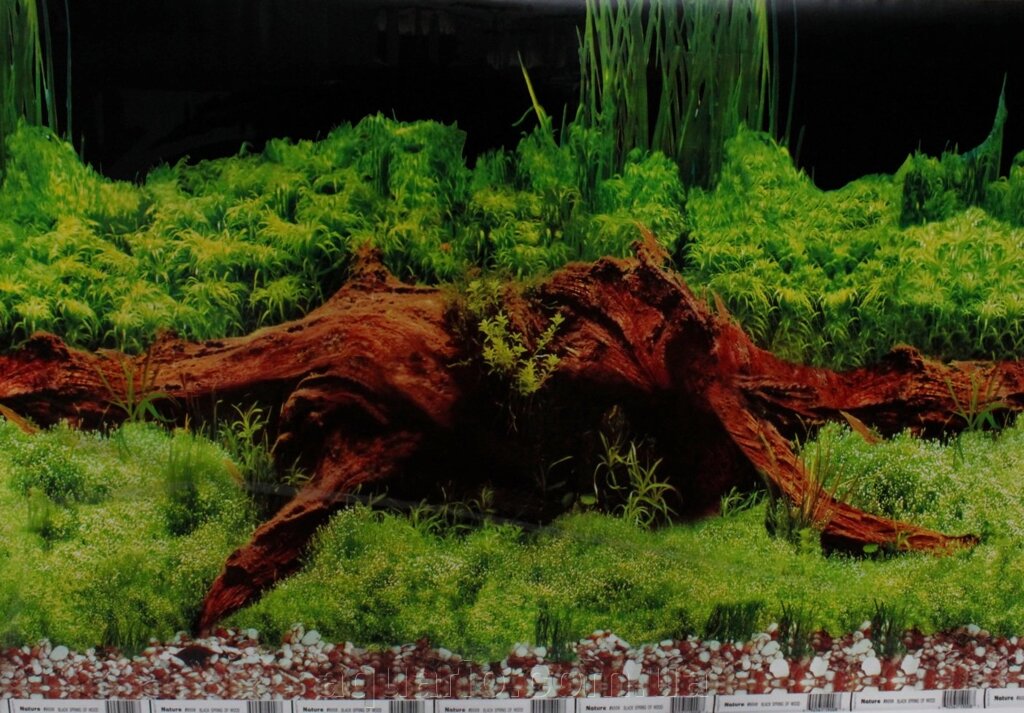 Фон для акваріума Nature # 9008 Black spring of wood, висота 50 см від компанії Інтернет магазин акваріумістики "AquariO" - фото 1