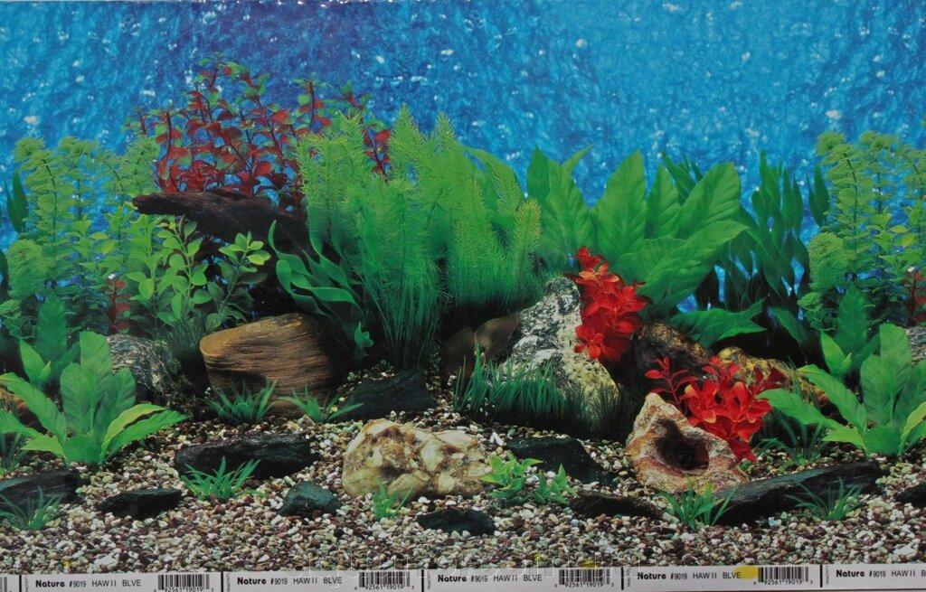 Фон для акваріума № 3019, 30 см від компанії Інтернет магазин акваріумістики "AquariO" - фото 1
