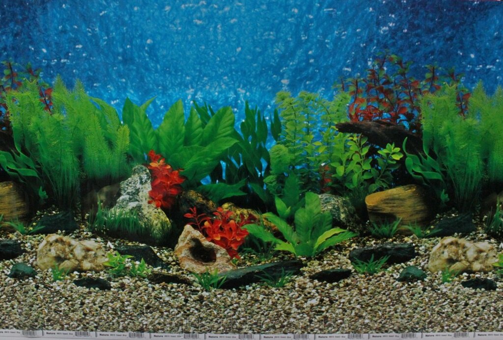 Фон для акваріума Nature # 9019 Hawaii Blue, висота 60 см від компанії Інтернет магазин акваріумістики "AquariO" - фото 1