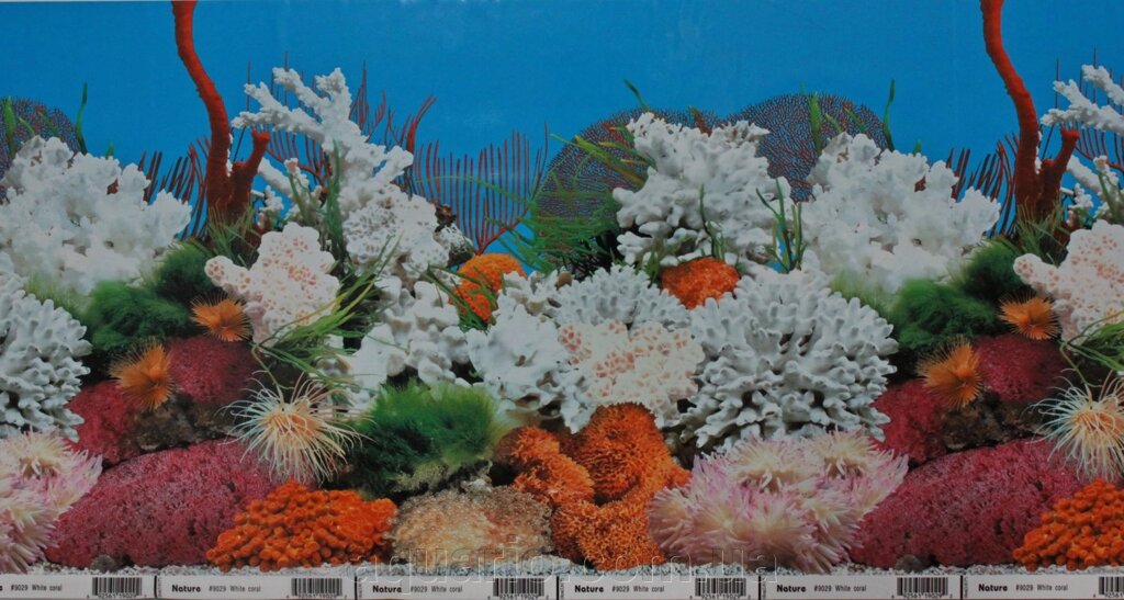 Фон для акваріума Nature # 9029 White coral, висота 30 см від компанії Інтернет магазин акваріумістики "AquariO" - фото 1