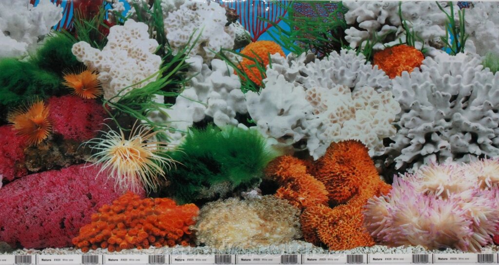 Фон для акваріума Nature # 9029 White coral, висота 40 см від компанії Інтернет магазин акваріумістики "AquariO" - фото 1