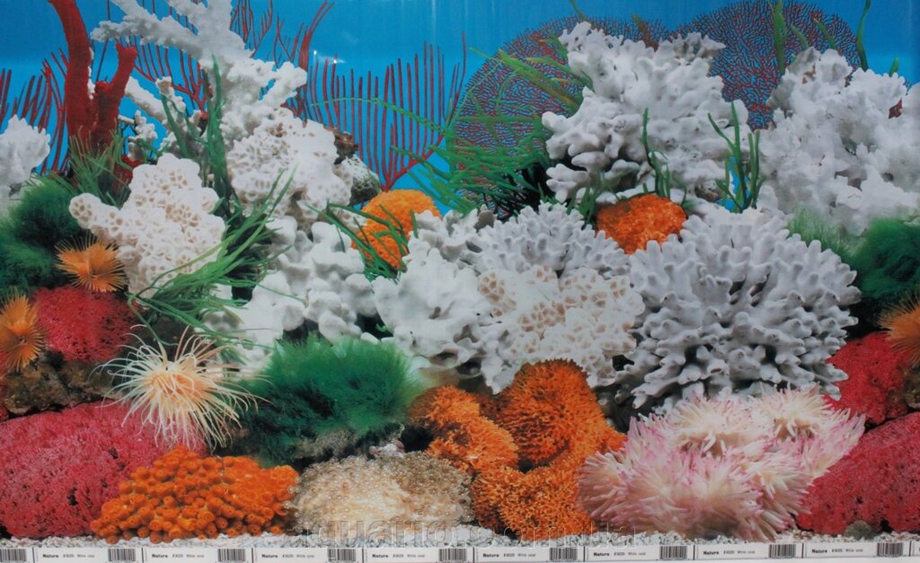 Фон для акваріума Nature # 9029 White coral, висота 50 см від компанії Інтернет магазин акваріумістики "AquariO" - фото 1