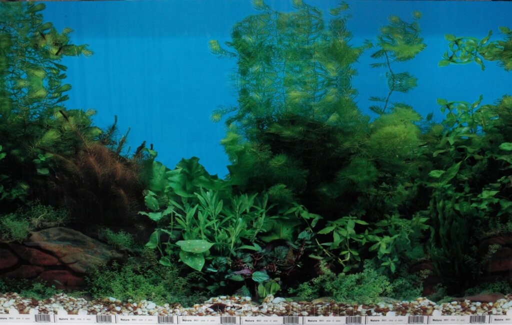Фон для акваріума Nature # 9031 Show of water, висота 50 см від компанії Інтернет магазин акваріумістики "AquariO" - фото 1