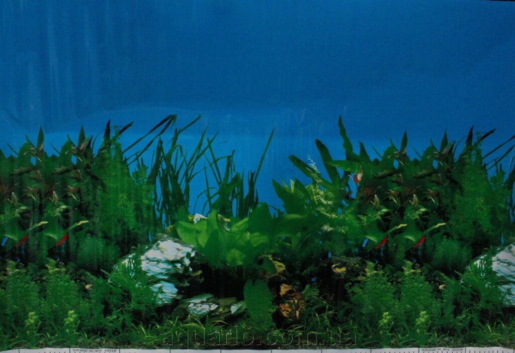 Фон для акваріума Sun Shine №9013, висота 70 см від компанії Інтернет магазин акваріумістики "AquariO" - фото 1