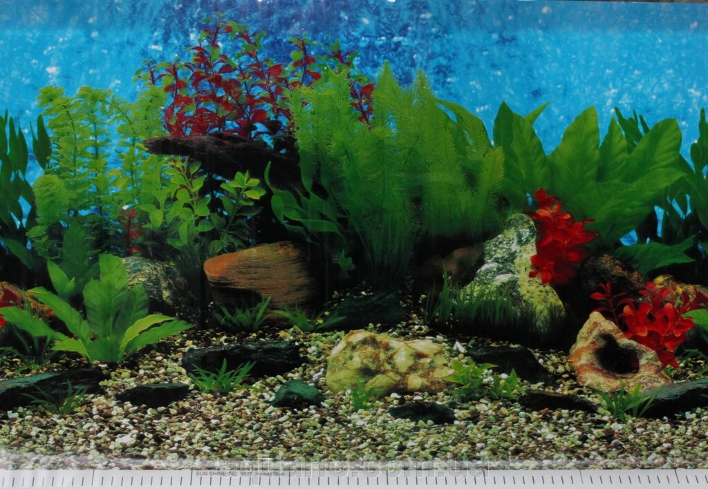 Фон для акваріума Sun shine №9019 Hawaii Blue, висота 50 см від компанії Інтернет магазин акваріумістики "AquariO" - фото 1