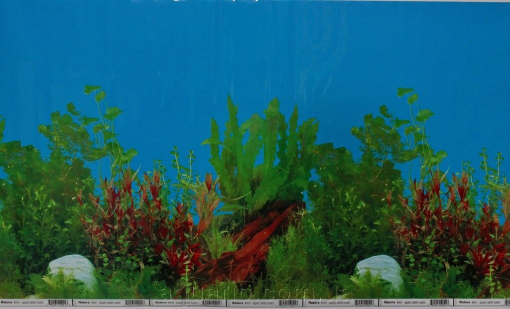Фон для акваріума Sun Shine №9021 Aquatic Pictures, висота 70 см від компанії Інтернет магазин акваріумістики "AquariO" - фото 1