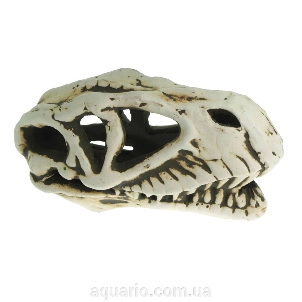Грот керамічний Aqua Nova череп динозавра 14x7x7 см від компанії Інтернет магазин акваріумістики "AquariO" - фото 1