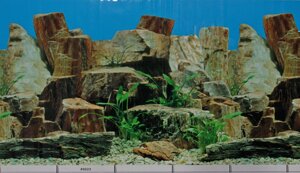 Фон для акваріума # 9023, висота 30 см в Одеській області от компании Интернет магазин аквариумистики "AquariO"