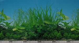 Фон для акваріума Nature # 9051 Blue Aquatic, висота 30 см в Одеській області от компании Интернет магазин аквариумистики "AquariO"