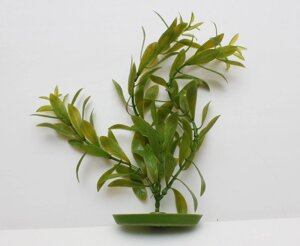 Рослина Marina higrophila, 20 см