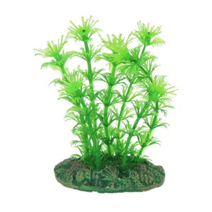 Рослина Aqua Nova NP-10 08078, 10 см в Одеській області от компании Интернет магазин аквариумистики "AquariO"