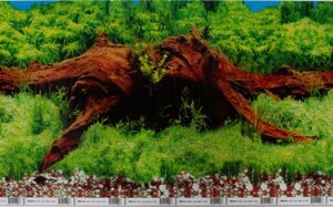 Фон для акваріума Nature # 9008 Black spring of wood, висота 40 см в Одеській області от компании Интернет магазин аквариумистики "AquariO"