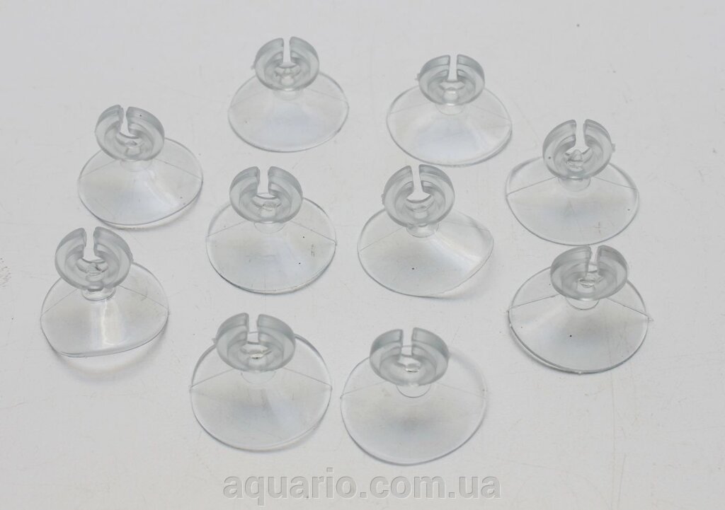 Присоска для шланга 4/6 мм від компанії Інтернет магазин акваріумістики "AquariO" - фото 1