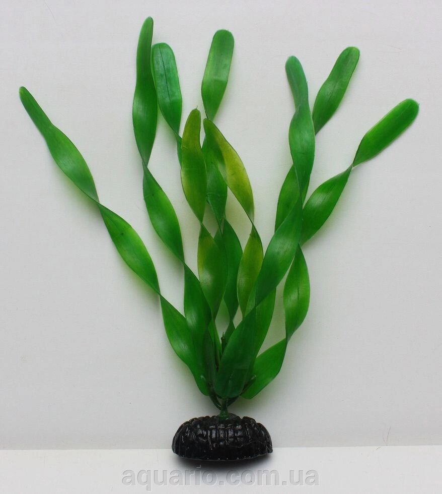 Растение Atman AP8-014, 20см від компанії Інтернет магазин акваріумістики "AquariO" - фото 1