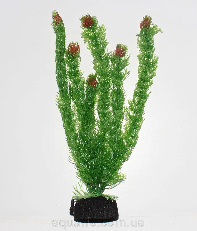 Растение Atman S12-030B, 30см від компанії Інтернет магазин акваріумістики "AquariO" - фото 1