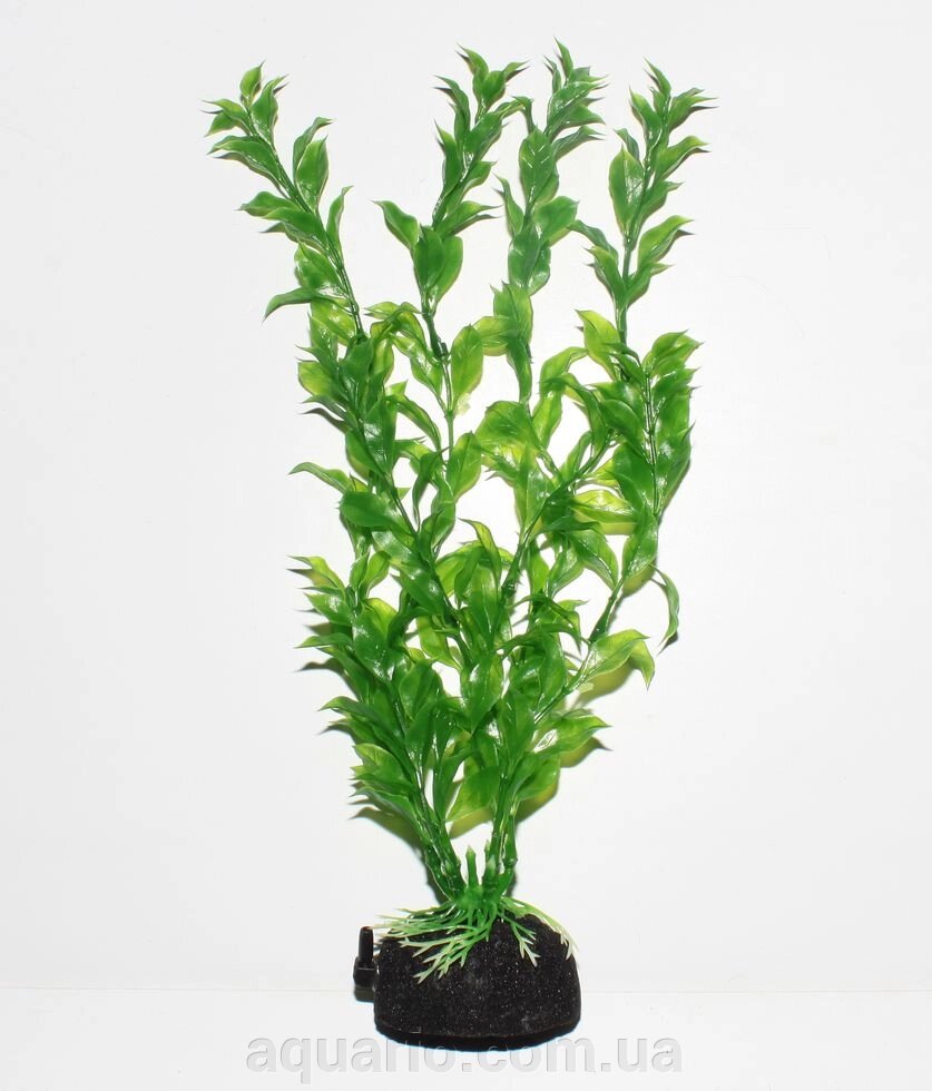 Растение Atman S12-081B, 30см від компанії Інтернет магазин акваріумістики "AquariO" - фото 1